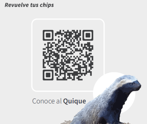 Mantequilla De Avellana Europea Chips De Chocolate 450gr