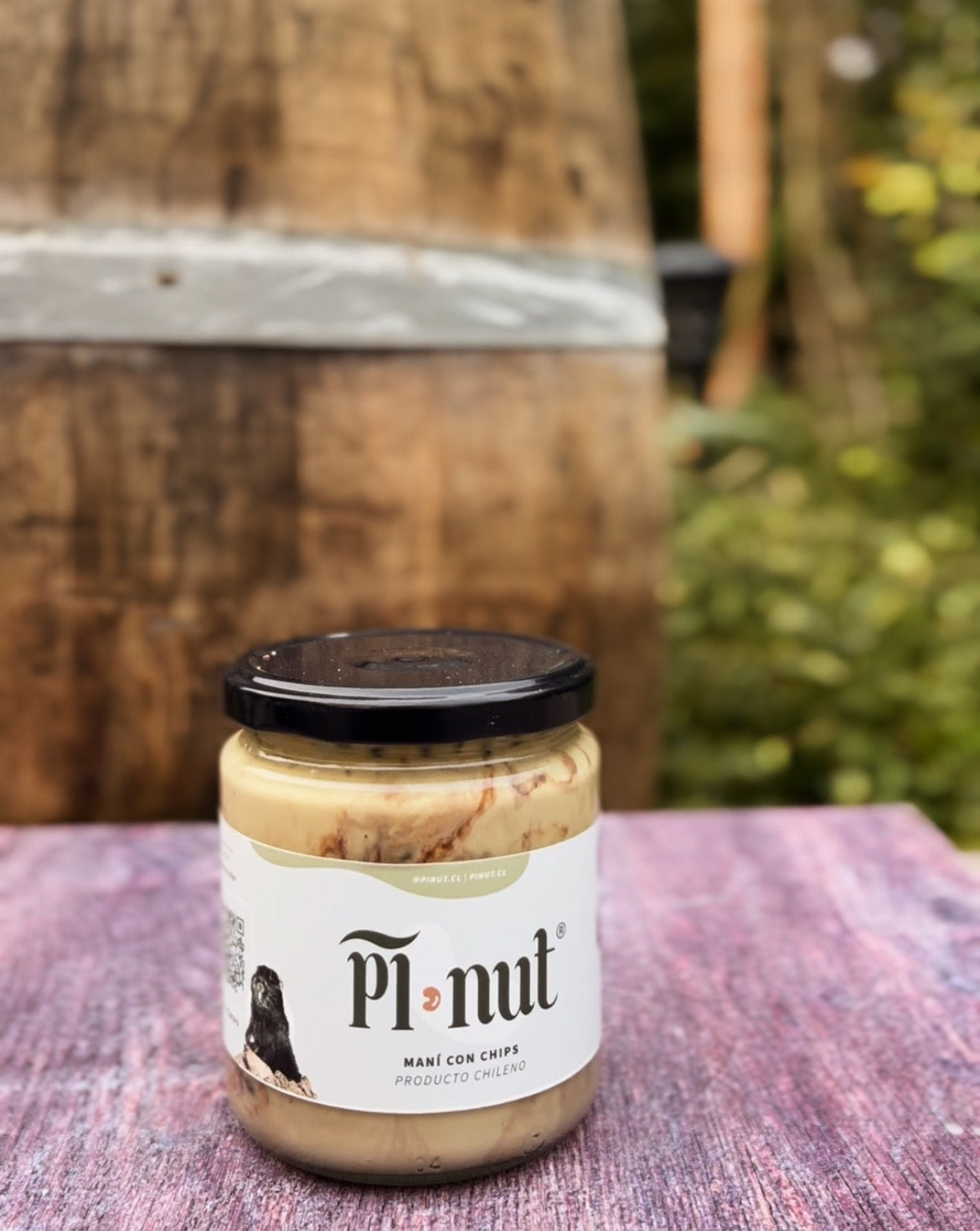 1 y 1 Mantequilla De Maní Natural y Con Chips de Chocolate 450g