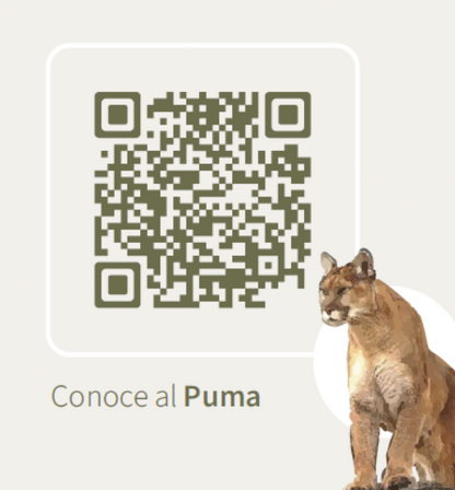 Mantequilla De Pistacho Natural 250gr